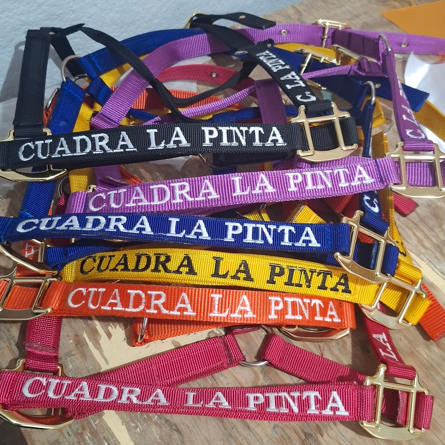 Almartigón – Control, confort y seguridad para tu caballo