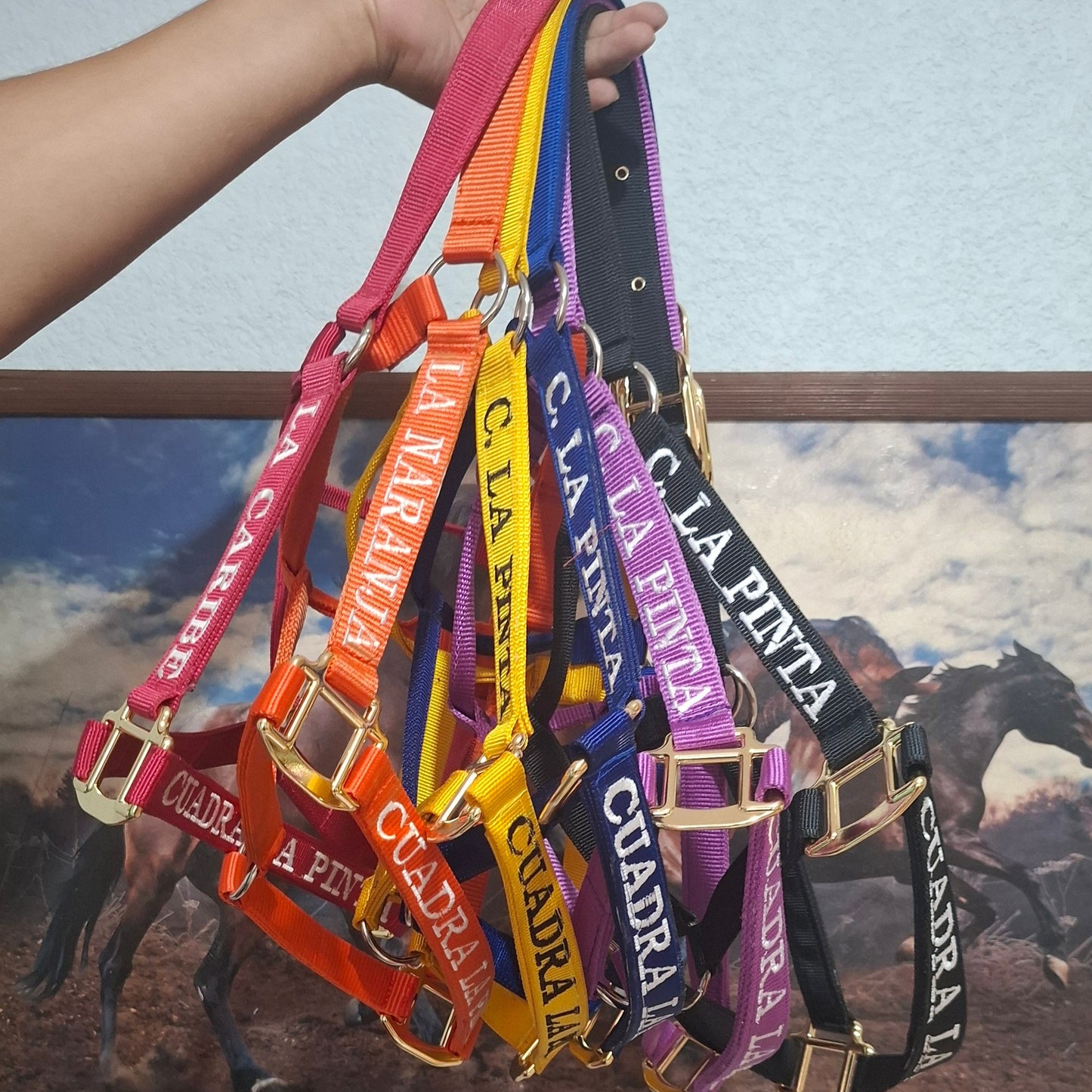 Almartigón – Control, confort y seguridad para tu caballo