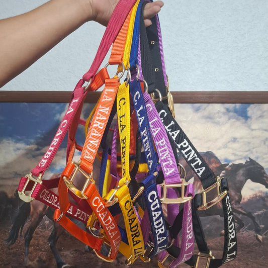 Almartigón – Control, confort y seguridad para tu caballo
